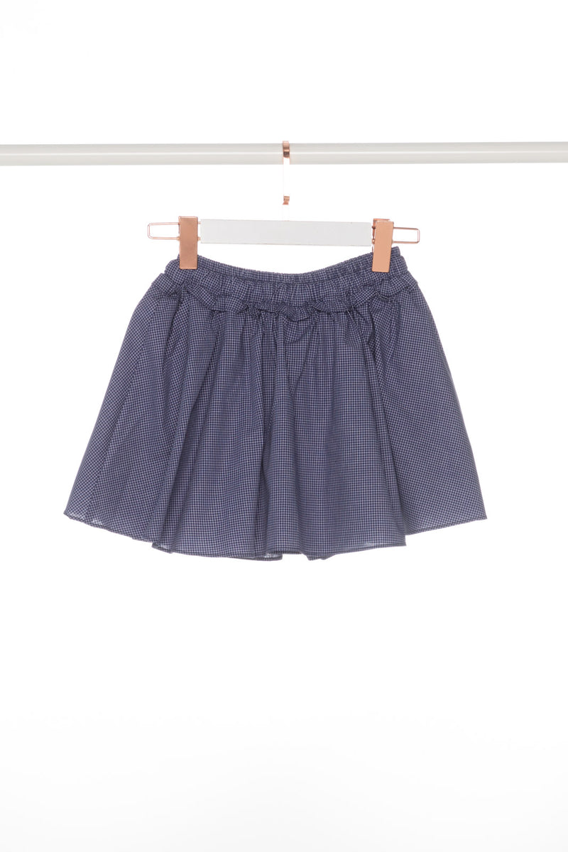 Blue Small Checker Mini Skirt