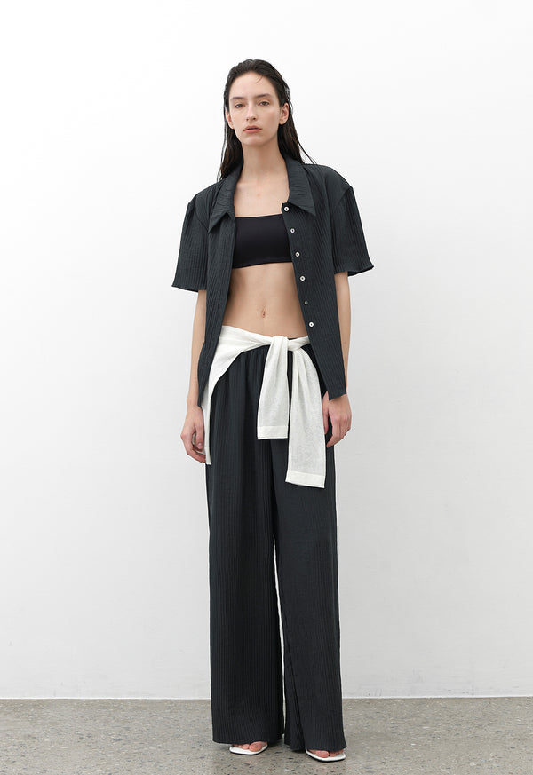 Lit Pleats Shirt Blouse